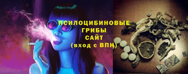 таблы Пересвет